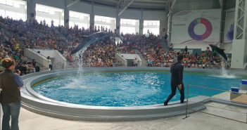 Momente unice la Delfinariu: Florin dansează cu Ni Ni și Chen Chen delf3