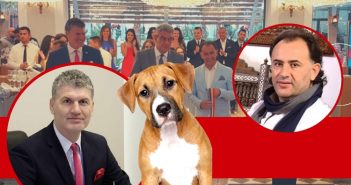 De frica lui Murad, primarul din Năvodari, Florin Chelaru, s-a apucat să adune câinii din Mamaia Murad si Florin Chelaru - Mamaia