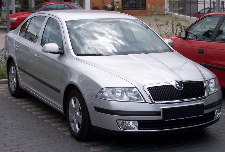 Skoda Octavia cu acte false, descoperită la Vama Veche