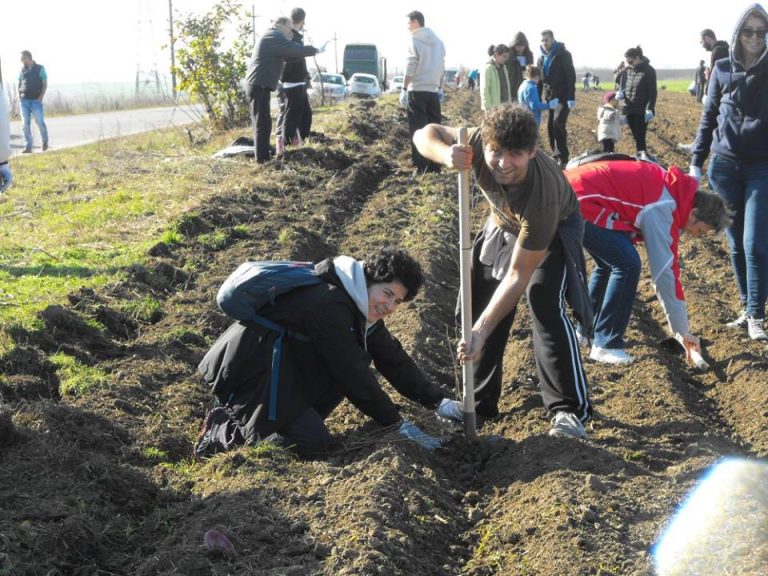 Coordonați de Cosmin Bârzan, 700 de voluntari au plantat fapte bune, la Peștera