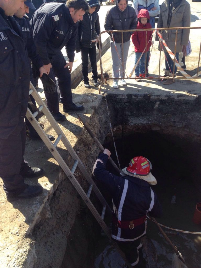 Video. O vidră salvată de pompierii ISU Dobrogea