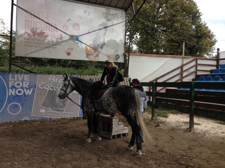 Copilul tău adoră caii? Adu-l la Delfinariu!