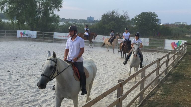 Nu doar delfini! Spectacol de echitație la CMSN Constanța