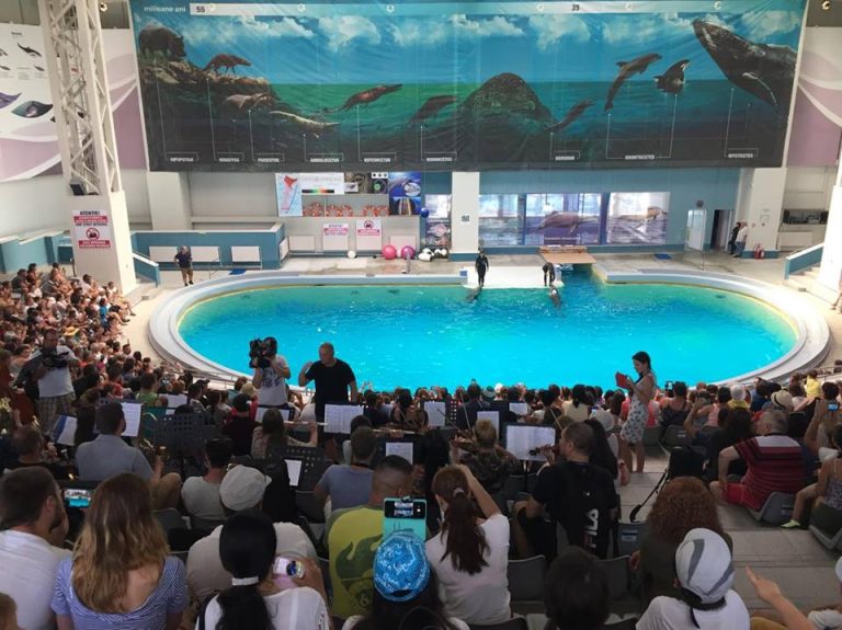 Simbioza perfectă dintre delfini și muzica simfonică a creat un spectacol de neuitat