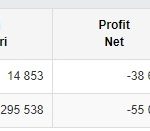 babu dalgeco srl