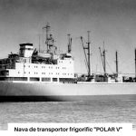 13-Nava de transport frigorific POLAR V