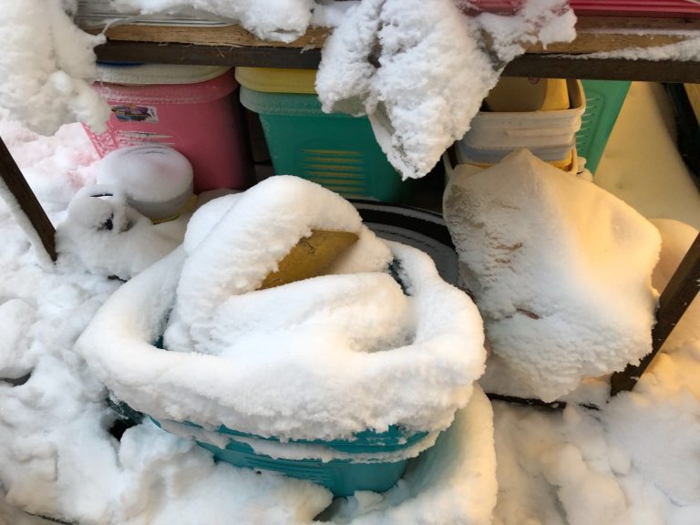 Video. Protecția consumatorului în control la depozitele de pe Interioară