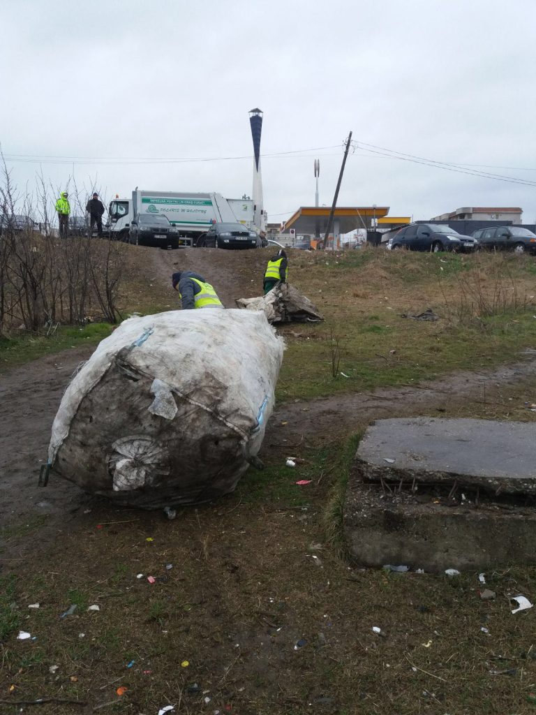 Poliția Locală a ecologizat faleza de la Poarta 5, cot la cot cu Polaris