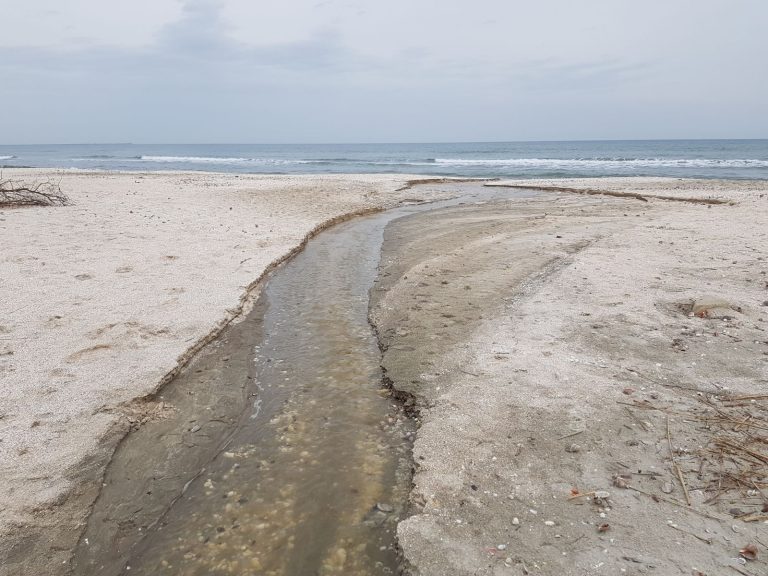 Amendat de Poliția Locală pentru că folosea marea drept canalizare