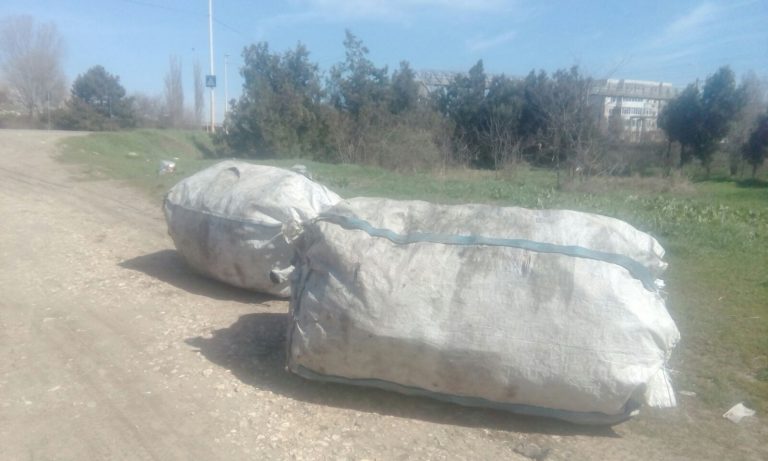 Poliția Locală și Polaris, curățenie în kilometrul 5