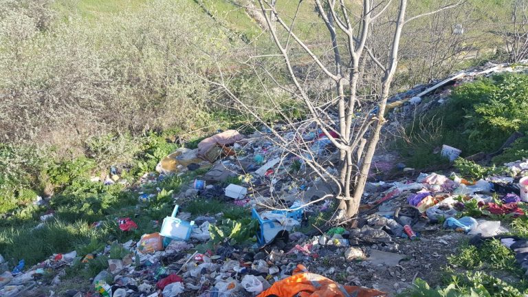 Poliția Locală, control pe strada Viorelelor. Imaginile te vor ului