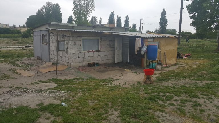 Cât curaj! Poliția Locală face curățenie în Palas