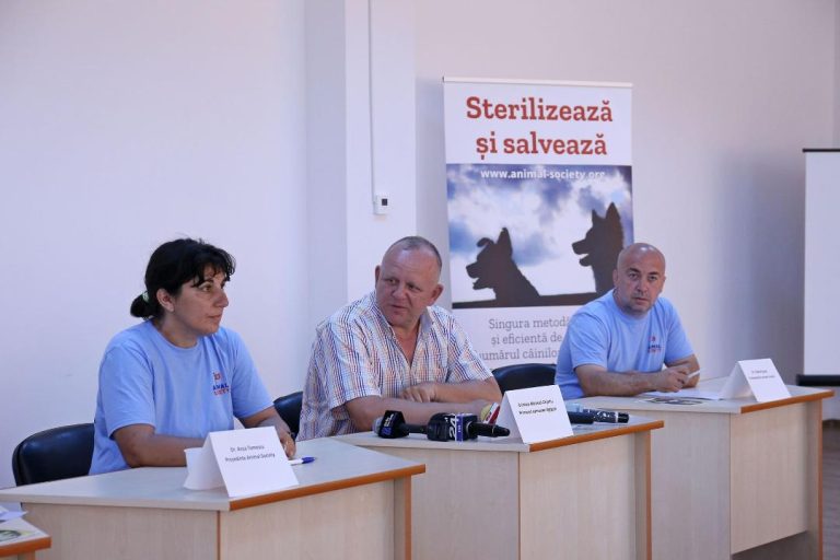 Cum a rezolvat primarul din Agigea problema câinilor maidanezi. ”A fost nevoie doar să ne solicite ajutorul”