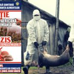 ANSVSA – Romania