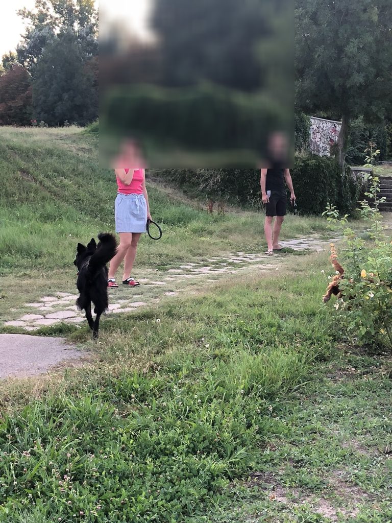 Poliția Locală a patrulat Constanța în weekend. S-au dat sute de amenzi