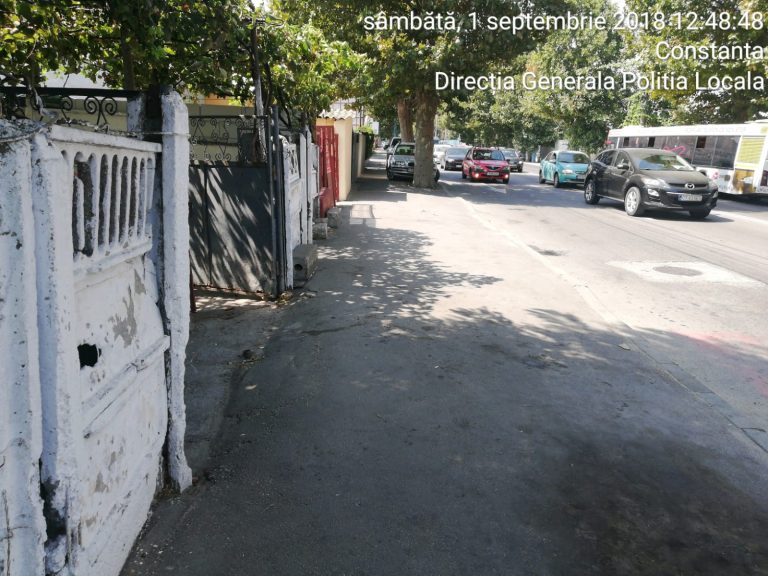 Video. Grătar, gălăgie și țigănie. 1000 de lei amendă de la Poliția Locală