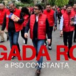 Brigada Rosie a PSD Constanta