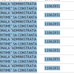 Contracte EFOMIX – CN APM SA Constanta