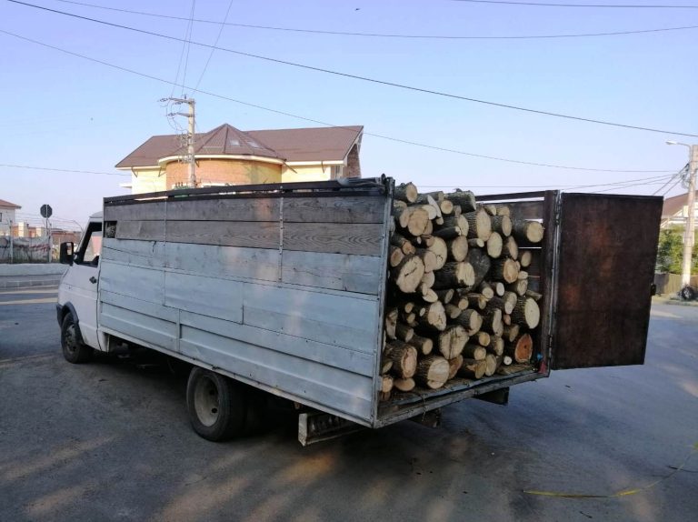 Transporta lemne fără documente, la Cernavodă