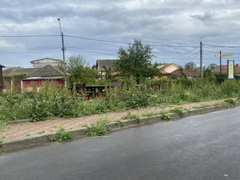 Parcul din Lazu, o sfidare la adresa bunului simț și o bătaie de joc la adresa localnicilor. Maricel, dormi liniștit?