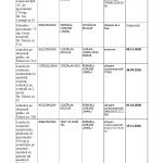 Tabel dosare Ciocirlan (1)-page-001