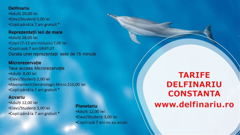 La Delfinariu, tarifele au intrat la apă. Ai aici toate detaliile