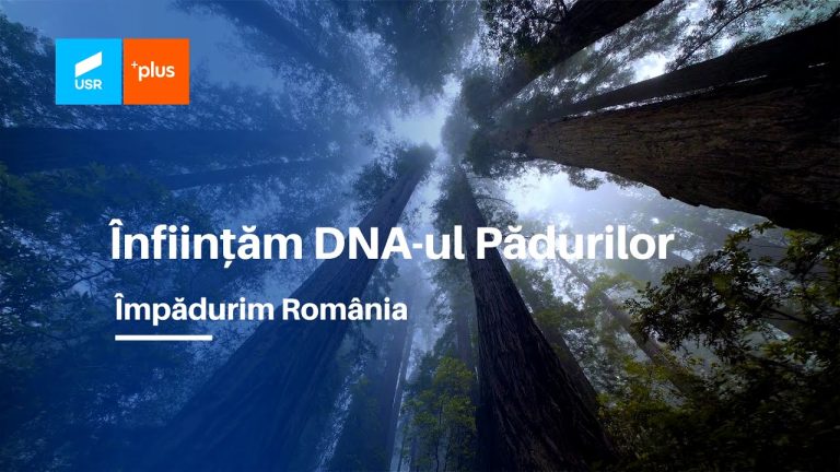 Înființarea unei Direcții de Investigare a Infracțiunilor de Mediu, instituție autonomă, organizată pe modelul DNA și DIICOT (DNA-ul Pădurilor), rămâne o prioritate pentru USR PLUS.