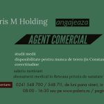 angajare agent comercial ian 2021