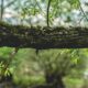 Restaurare habitat pentru echilibru ecologic